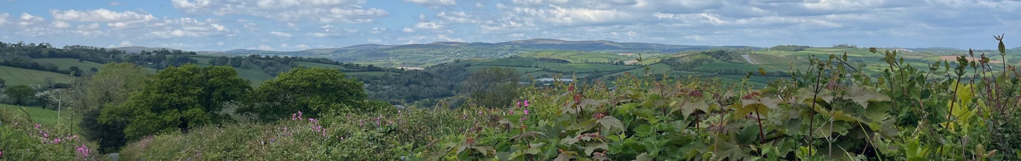 Proper Edges – Traditional Countryside Management
